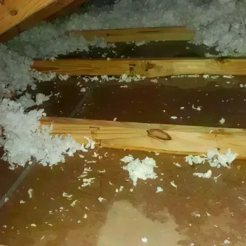 Attic Water Damage in Hanford, CA